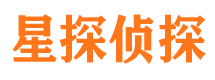 河池侦探社